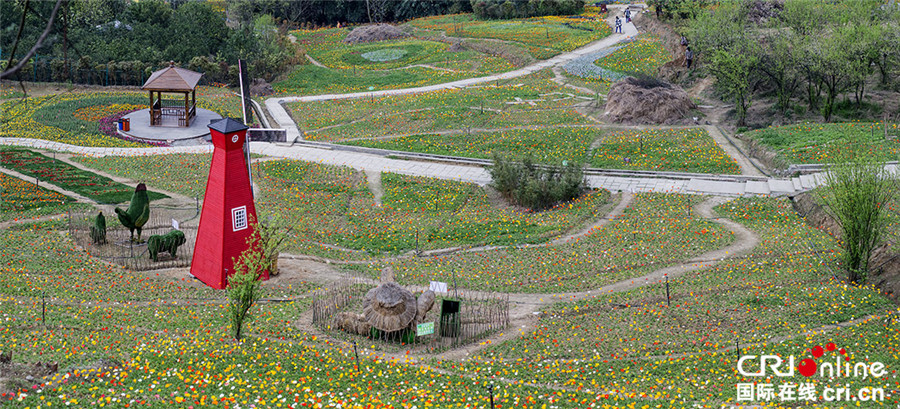 清明节期间 四川仙山花谷百花争艳迎宾客