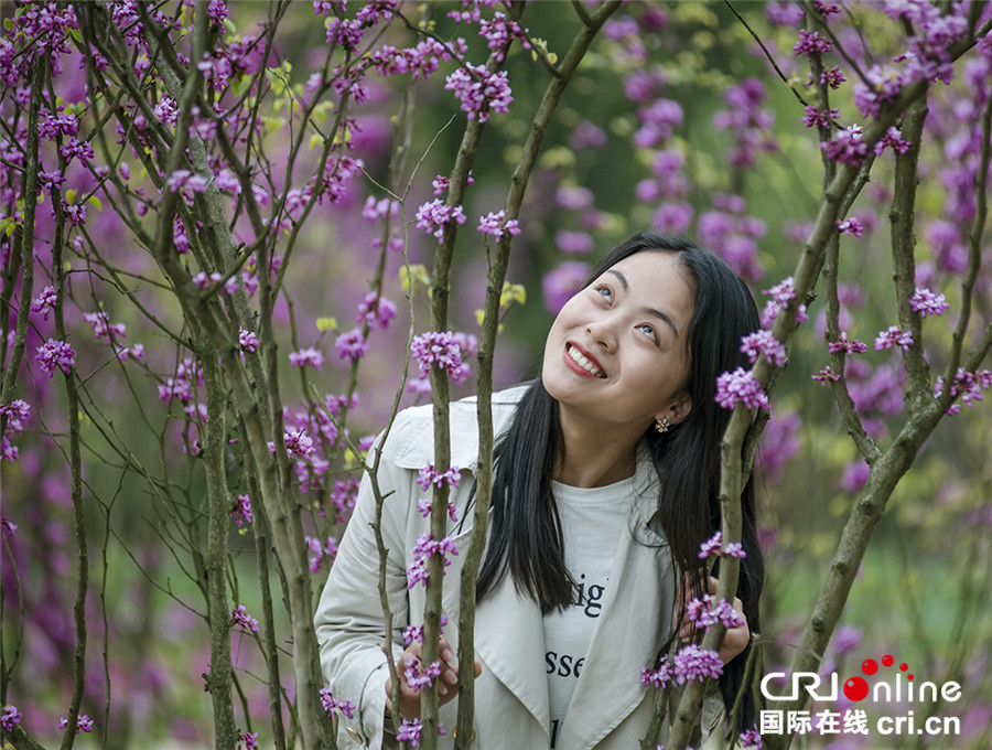 清明节期间 四川仙山花谷百花争艳迎宾客