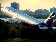 俄航空公司将为圣彼得堡恐袭遇难者家属提供免费承运服务