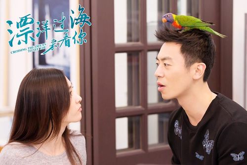 朱亚文聊《漂洋过海来看你》 硬汉竟是“女儿奴”