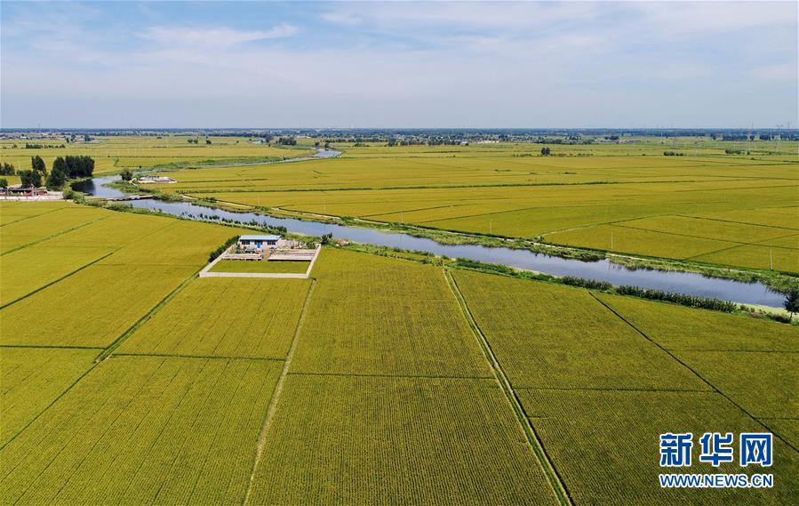 唐山：锦绣田园风光美