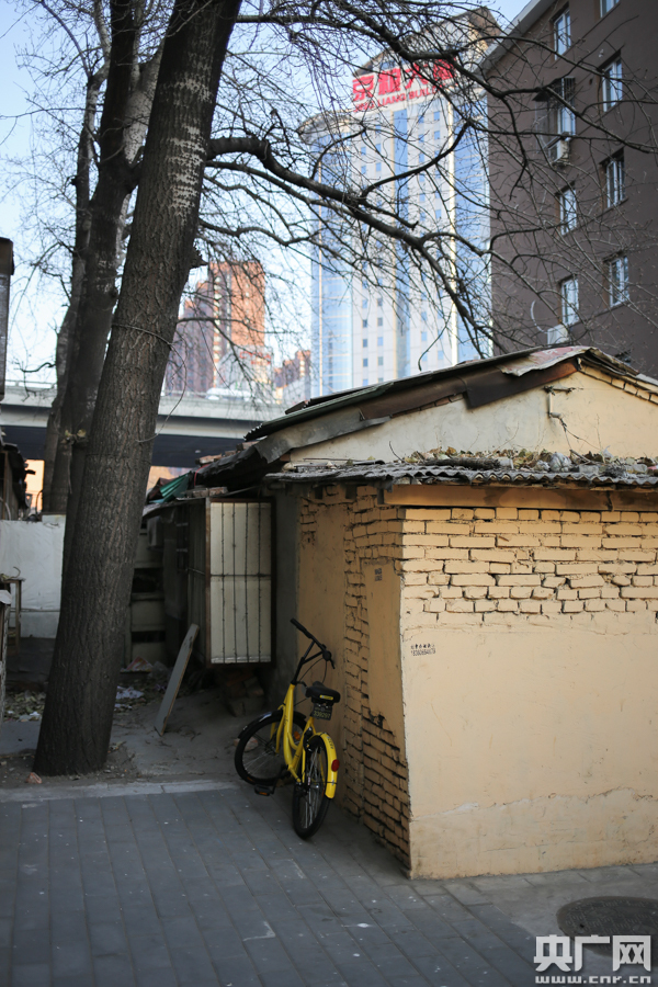 共享单车：市民素质的“照妖镜”