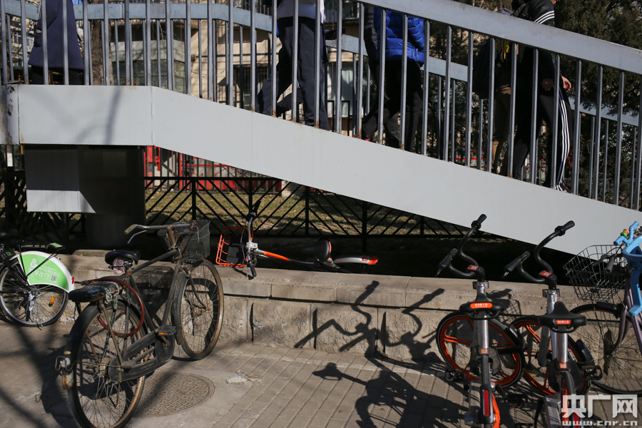 共享单车：市民素质的“照妖镜”