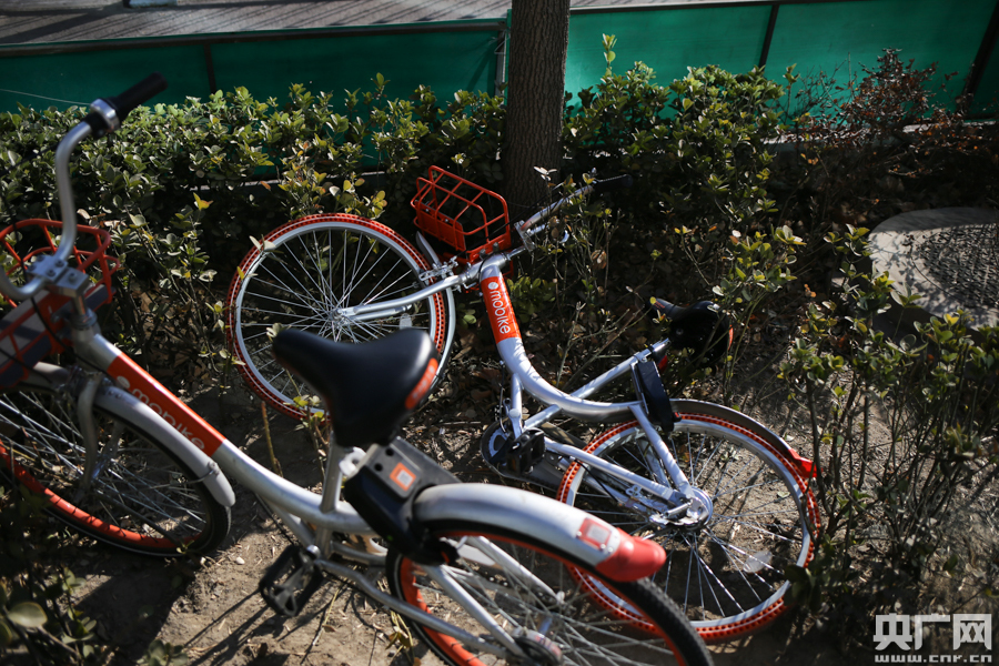 共享单车：市民素质的“照妖镜”