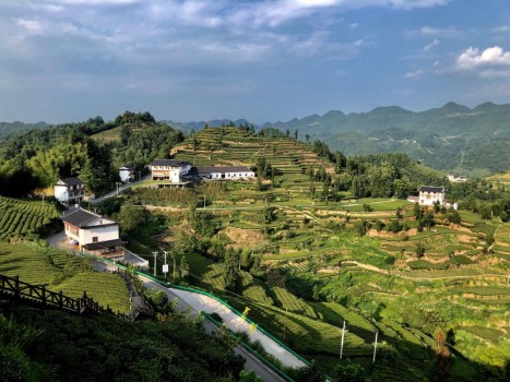 大美宣恩 生态宣恩