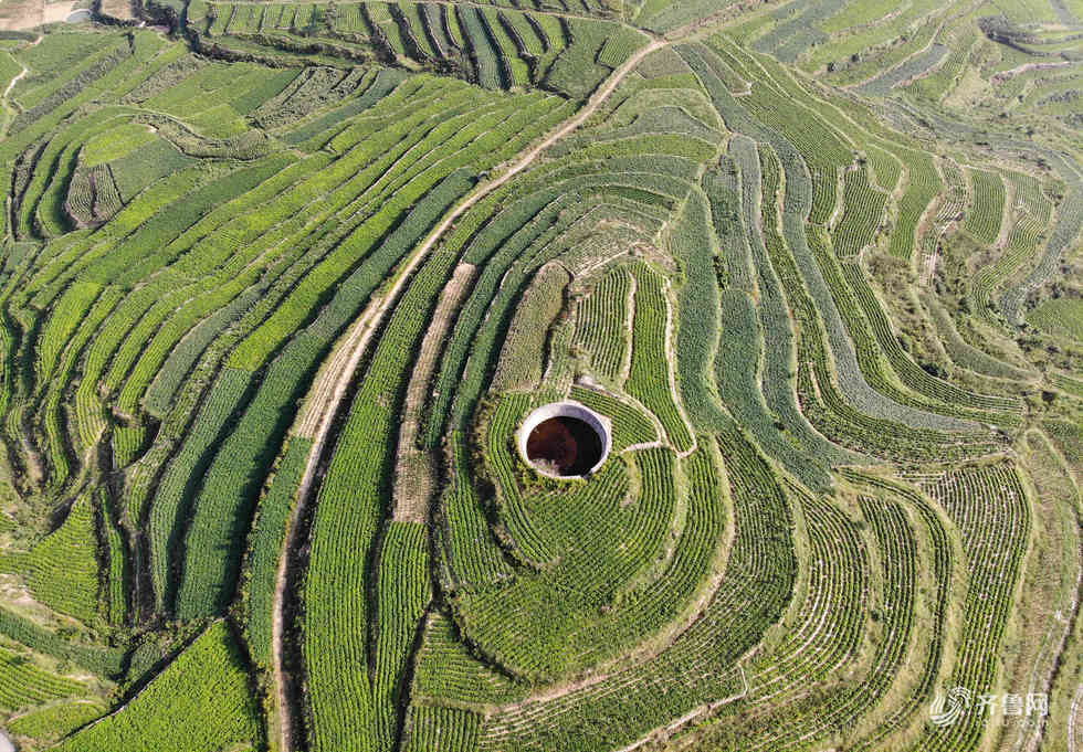 沂南县旱作梯田层层叠叠 山村画卷秋意盎然