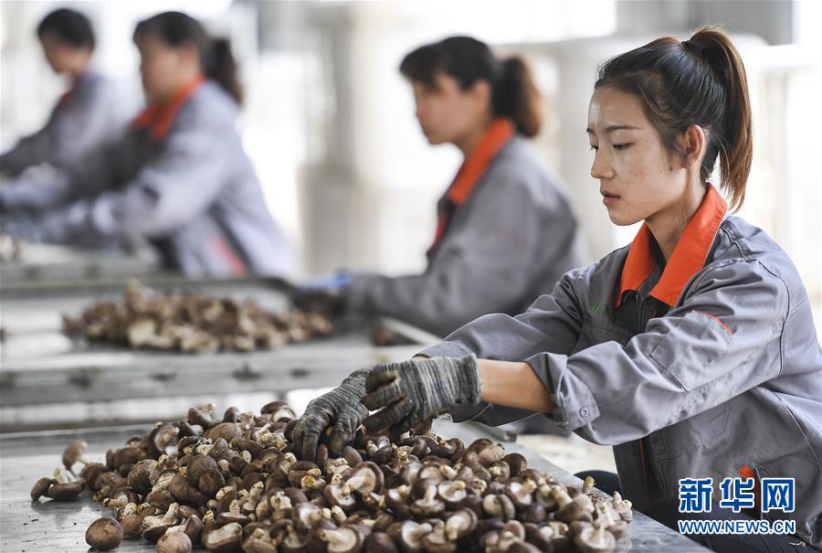 圖片默認標題 圖片默認標題_fororder_5