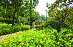 （副头条）贵州双龙生态公园 建成开放