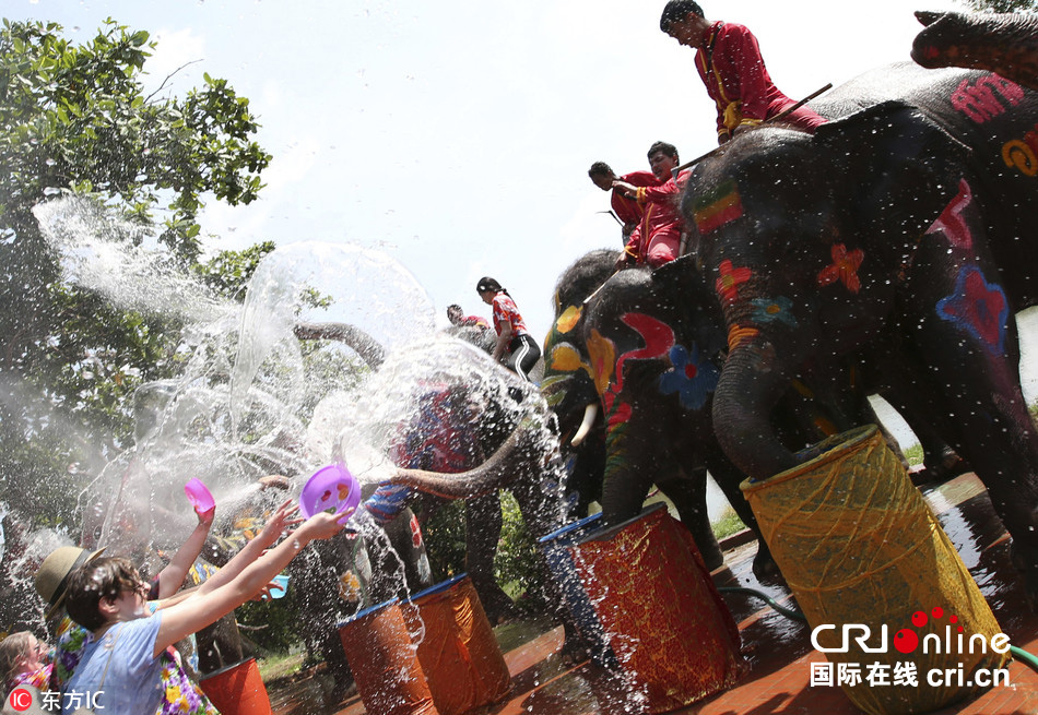 泰国泼水节游客与大象激烈打水仗(组图) 泰国泼水节游客与大象激烈打水仗(组图)