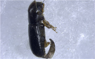 圖片默認標題 圖片默認標題