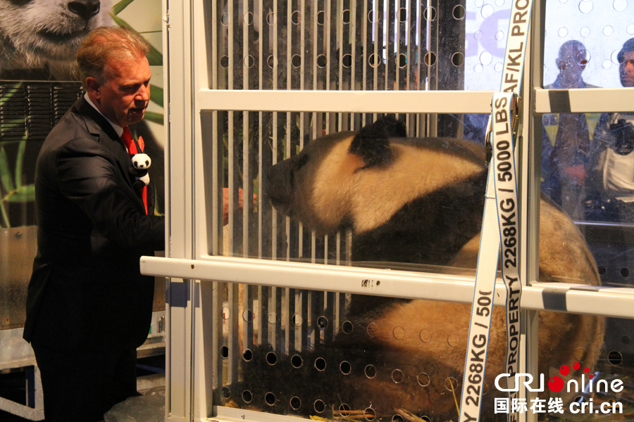中國大熊貓“星雅”和“武雯”抵達荷蘭(組圖)