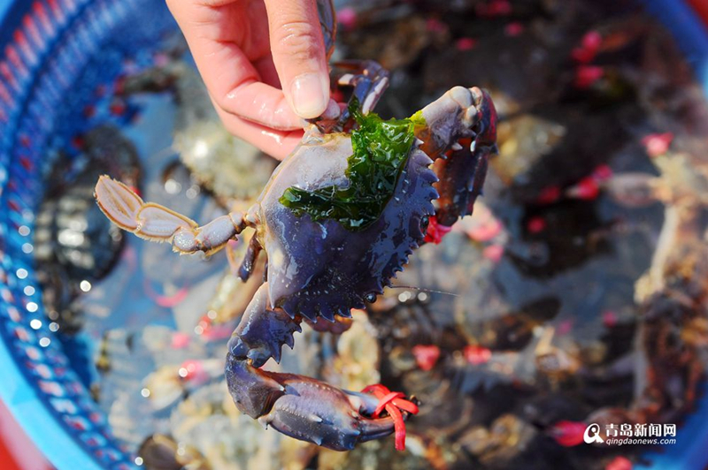 图片默认标题 图片默认标题