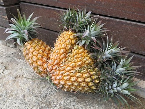 台当局拟将8种水果农药残留放宽千倍