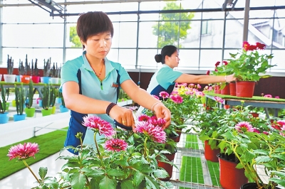 【豫见国际-图片】【 移动端-焦点图】“花木之都”的华美转身