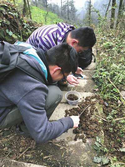 成都虫痴3年发现5个昆虫新物种 以妻之名命名新种虫