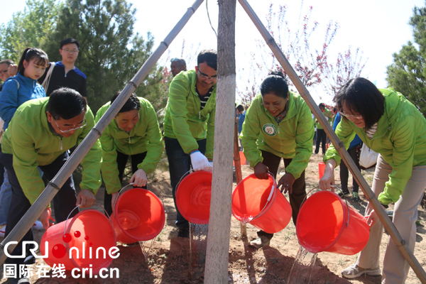 图片默认标题 图片默认标题