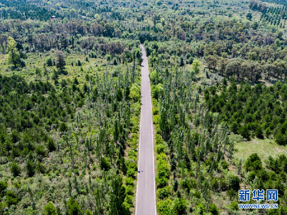 圖片默認標題 圖片默認標題_fororder_4