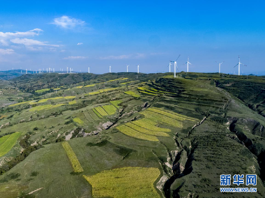 圖片默認標題 圖片默認標題_fororder_6