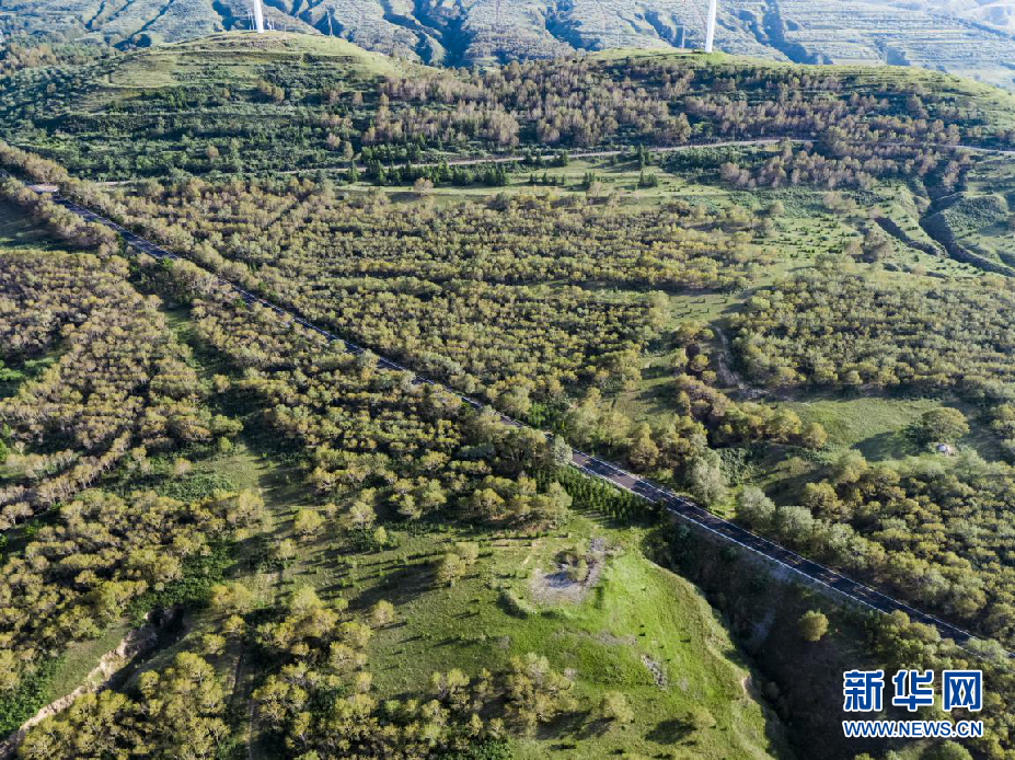 圖片默認標題 圖片默認標題_fororder_3