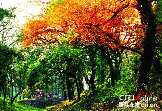 图片默认标题_fororder_3