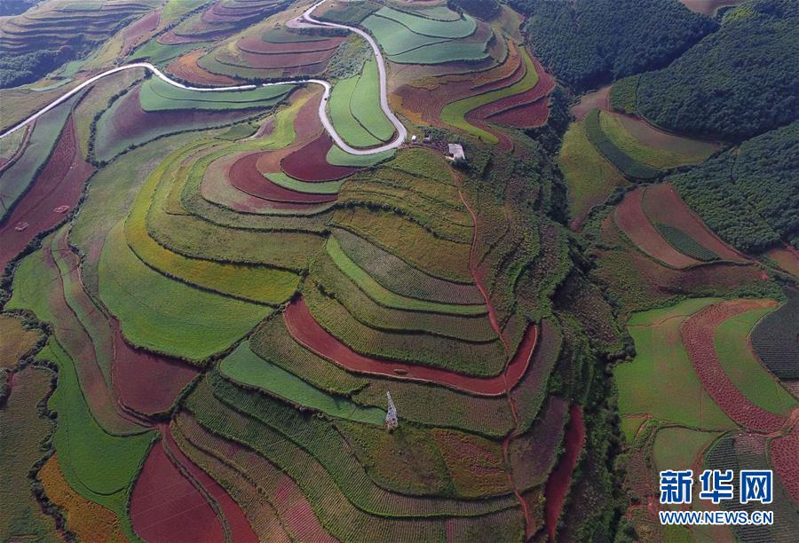 云南：飞越东川红土地