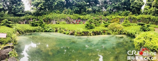 全國媒體探幽“綠城翡翠”青秀山 全國媒體探幽“綠城翡翠”青秀山