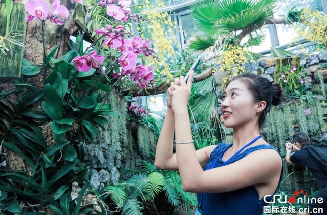 全國媒體探幽“綠城翡翠”青秀山 全國媒體探幽“綠城翡翠”青秀山