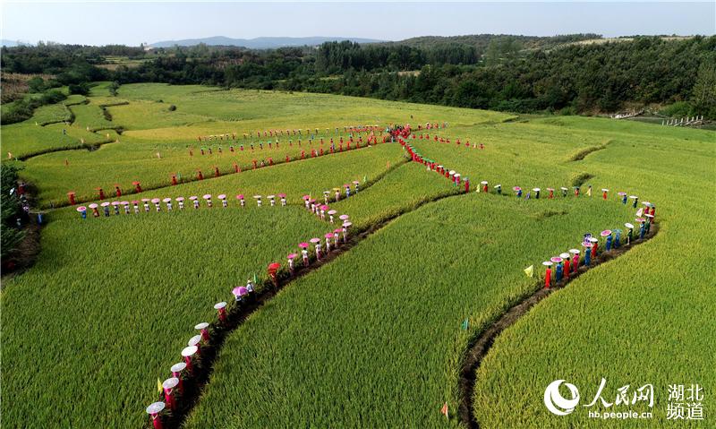 千名模特助阵湖北宜城稻香节