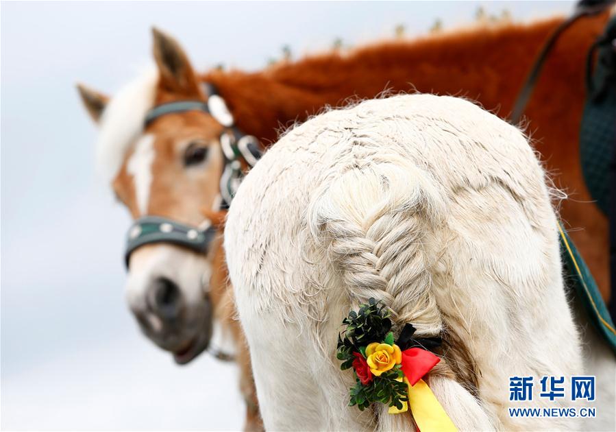 巴伐利亚：骑马祈福