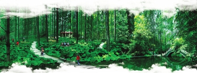 图片默认标题_fororder_3