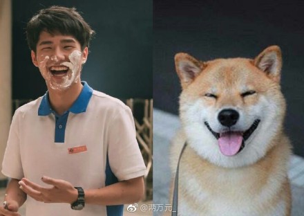 刘昊然撞脸柴犬表情几乎一模一样