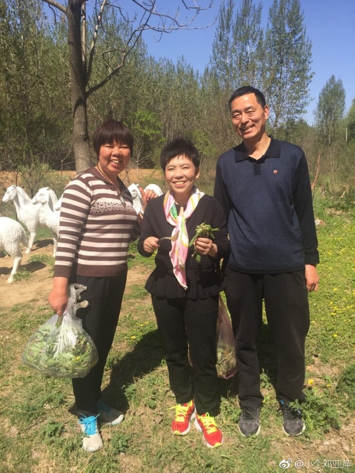 邓亚萍爬山挖野菜 网友：像是打乒乓球