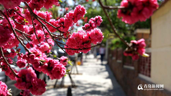 圖片默認標題 圖片默認標題