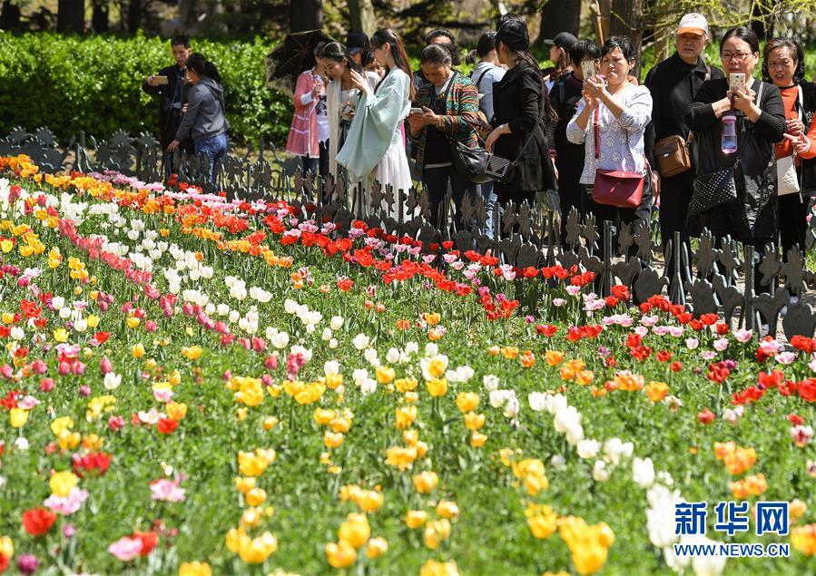 首届青岛赏花会开幕