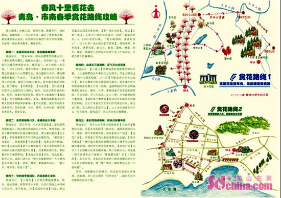 图片默认标题