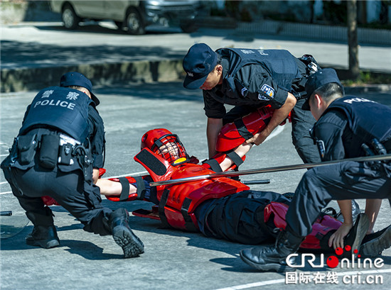 【法制安全】师生走进重庆北碚警营 零距离体验特警生活【内容页标题】30名师生走进重庆北碚警营 零距离体验特警生活