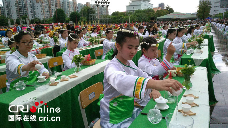 2018年中國（橫縣）茉莉花文化節在南寧橫縣舉辦