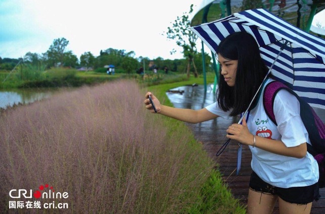 全國媒體南寧行 感受園博園之別樣風情 全國媒體南寧行 感受園博園之別樣風情