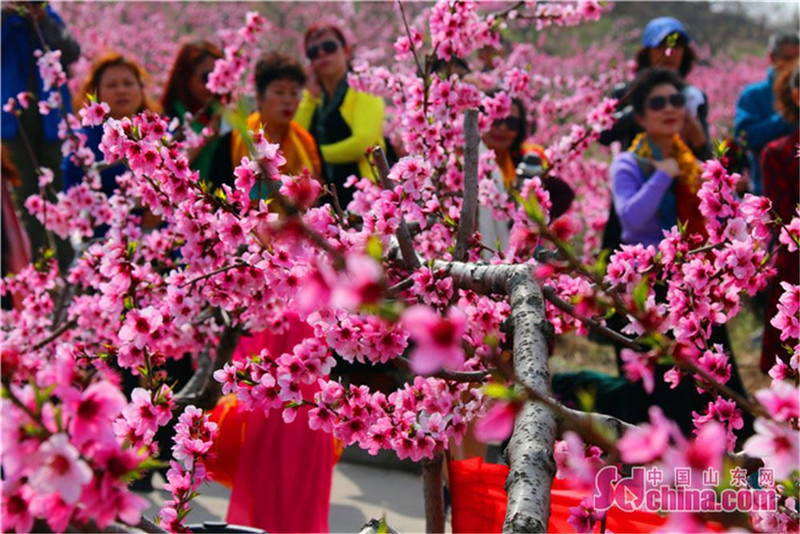 图片默认标题 图片默认标题
