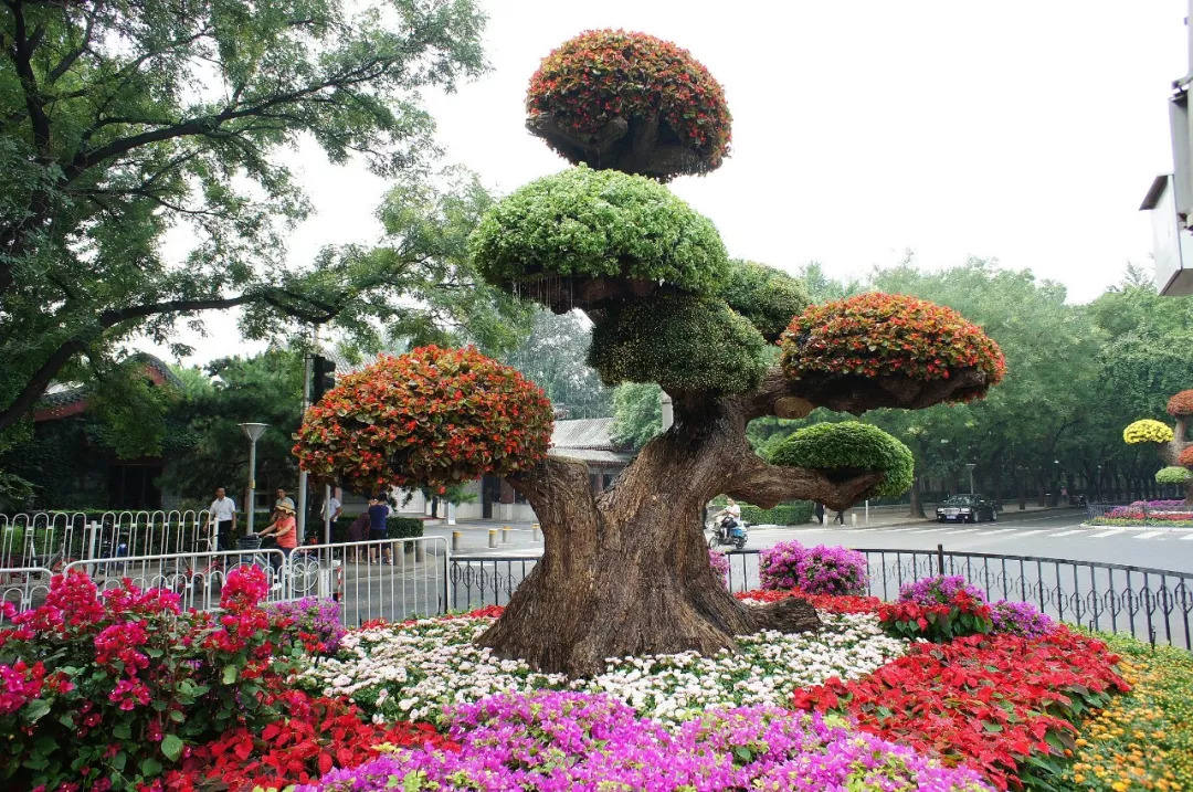 钓鱼台国宾馆门前装饰的特色花坛北京街头北京街头主题花坛创意十足