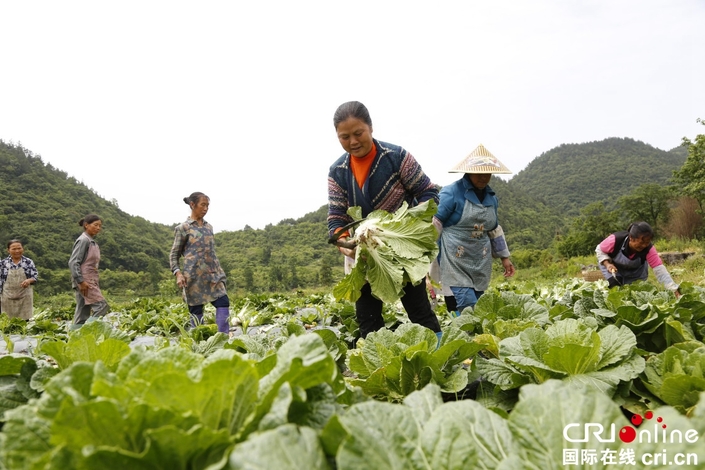 “三變”促貴州黔南長順鄉村發展 “三變”促貴州黔南長順鄉村發展