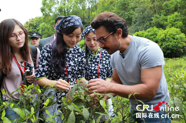 "体验中国"四川行成都站迎来印度国宝级演员阿米尔·汗