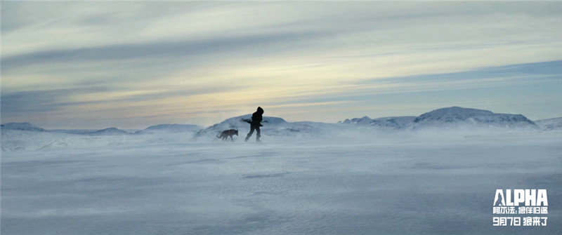 图片默认标题_fororder_科达和阿尔法在暴风雪中艰难前行