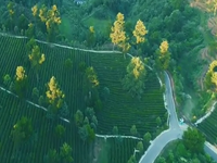 新香_fororder_微信截图_20180904170831