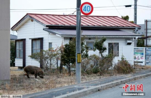 福島核電站反應堆報廢研究大樓啟用 將著力研發(fā)