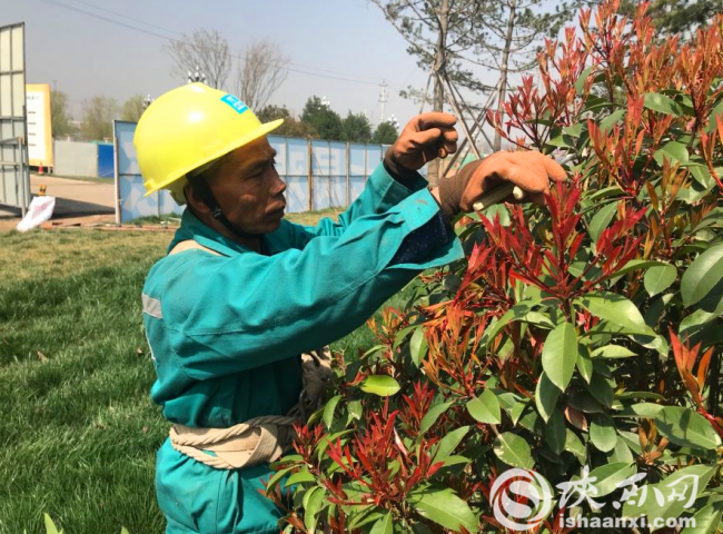 【攻坚路上党支部】周至县南寨子村：暖心脱贫路
