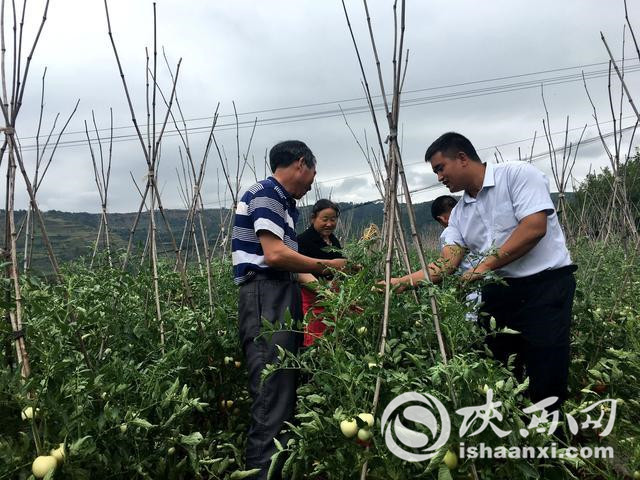 【攻坚路上党支部】临潼区门岩村“党建+”助力村出列户脱贫