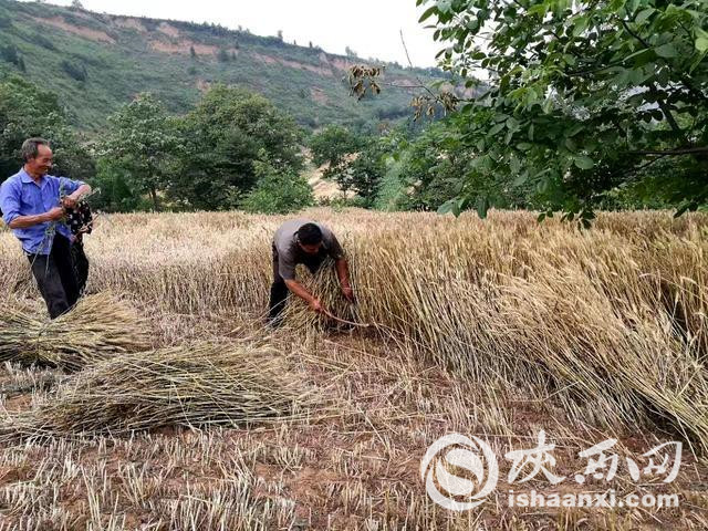 【攻坚路上党支部】临潼区门岩村“党建+”助力村出列户脱贫