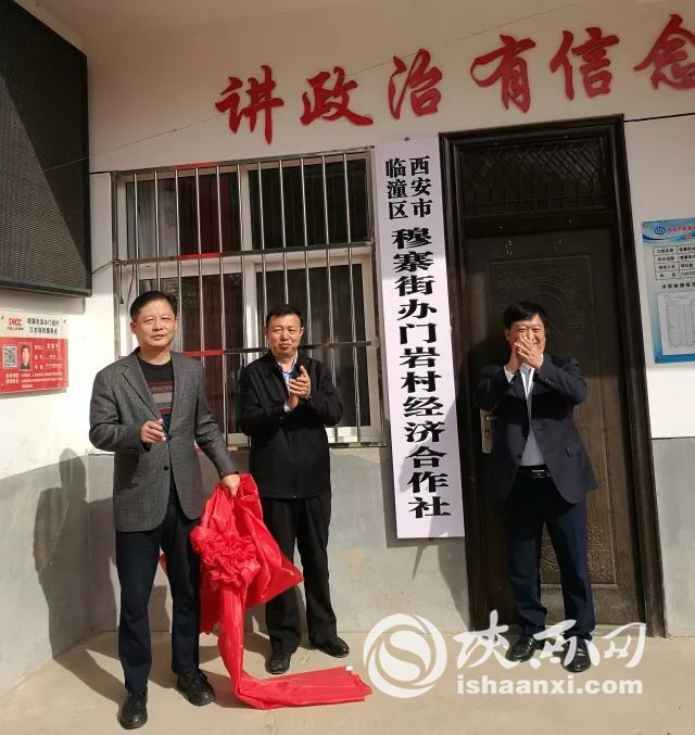 【攻坚路上党支部】临潼区门岩村“党建+”助力村出列户脱贫