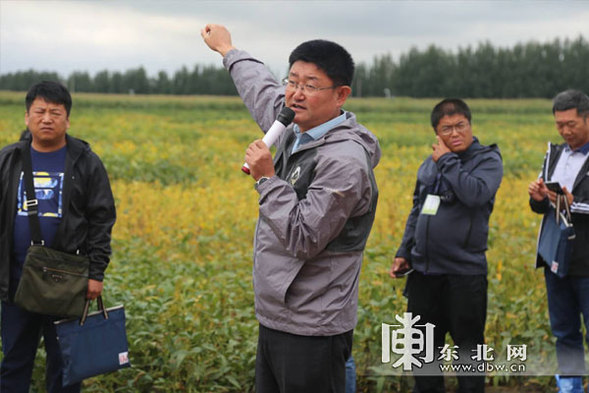 專家共聚龍江推廣玉米種植新模式 較傳統模式可增産20%